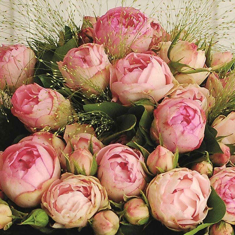Lovely Rokoko®
